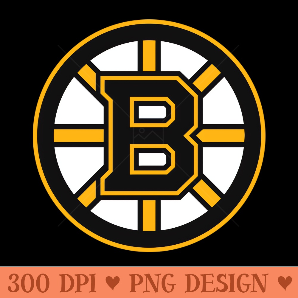 Boston Bruins 0102.jpg