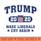 Trump 2020 Make Liberals Cry Again 1165.jpg