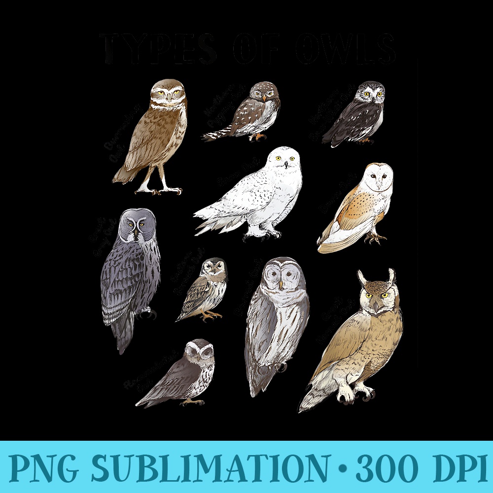Types of Owls Educational Collection Cute Owl Lover - PNG Download Source - Boost Your Success with this Inspirational PNG Download