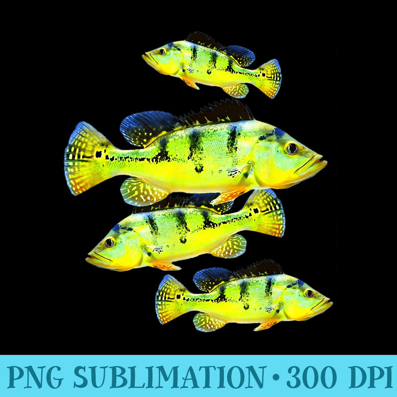 Peacock Bass Aquarium Fish Fishing Freshwater Cichlid Lover - Transparent PNG download - Bring Your Designs to Life
