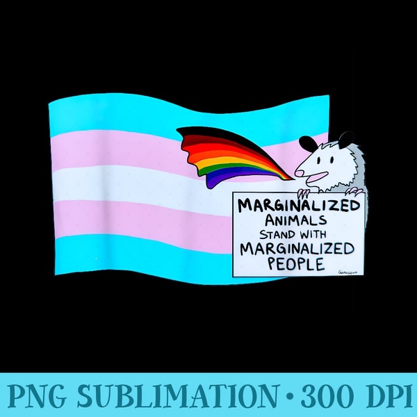 marginalized animals stand with marginalized people RACCOON | Inspire ...