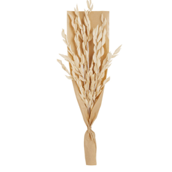 Dried Fire Leaf Palm Bunch , color: Ivory