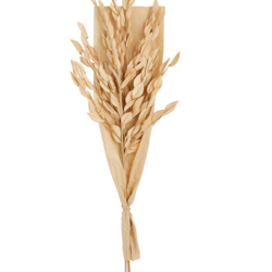 Dried Fire Leaf Palm Bunch , color: Light Brown