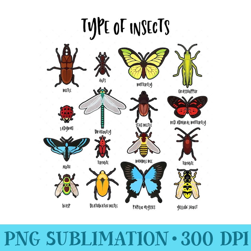Insects Study Sign Types Of Insects Study Of Biology Science Bug Identification | Inspire ...