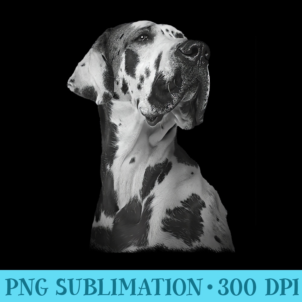 Lovely Dog Great Dane Pet Lover Dog Animal Breed Outfits Raglan Baseball - Transparent Shirt Design - Limited Edition And Exclusive Designs