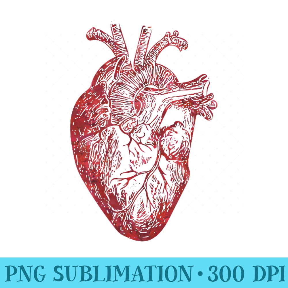 Human Heart Anatomical Heart True Love Anatomy - Exclusive PNG designs - Bring Your Designs to Life
