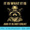 it is what it is and its not great Funny Raccoon - PNG Download Transparent Background - Fashionable and Fearless