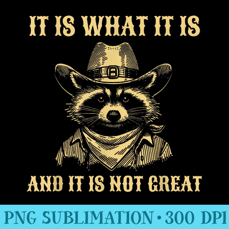 it is what it is and its not great Funny Raccoon - PNG Download Transparent Background - Fashionable and Fearless