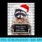 Dear Santa I Can Explain Funny Christmas Raccoon - Stylish Shirt PNG - Premium Quality PNG Artwork