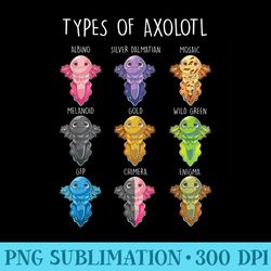 types of axolotl axolotls of the world cute kawaii axolotl - download png images