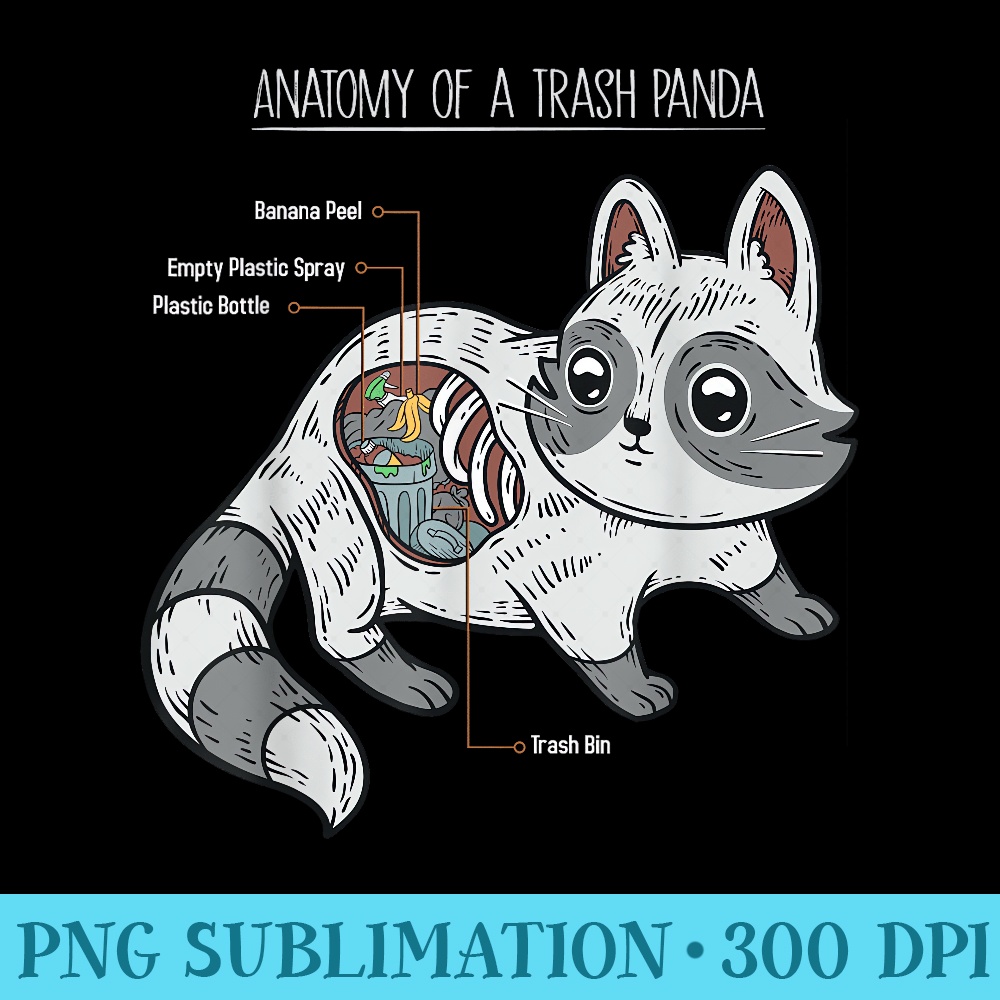 Anatomy Of A Trash Panda Live Fast Eat Trash Kawaii Raccoon - Transparent PNG Download - Bold & Eye-catching