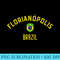 Florianopolis Brazil T Brazilian Flag - PNG Image Download - Perfect for Creative Projects