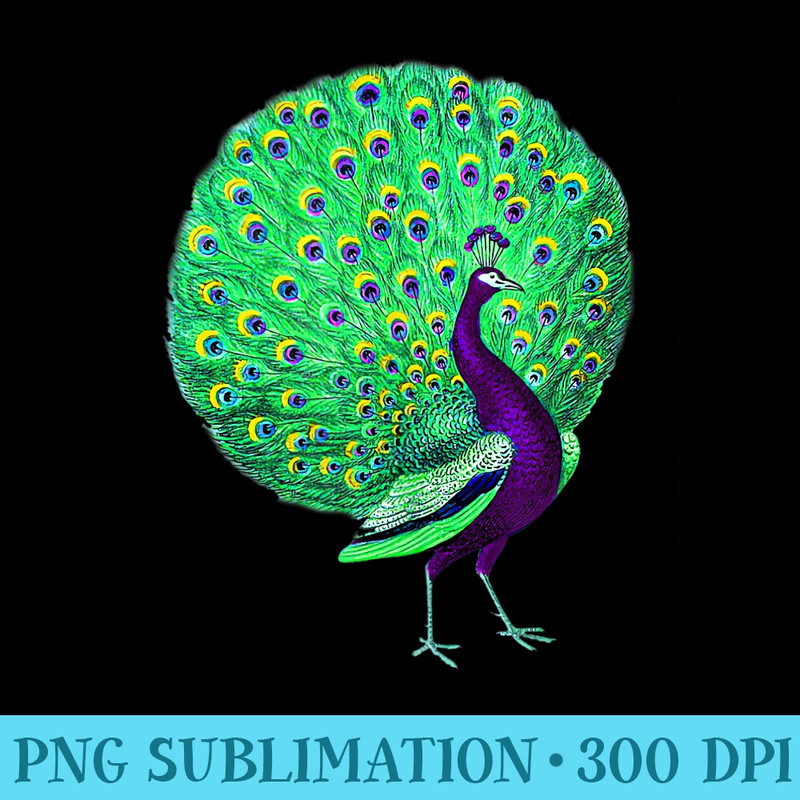 Peacock Design for Women Men - PNG Download Illustration - Instantly Transform Your Sublimation Projects