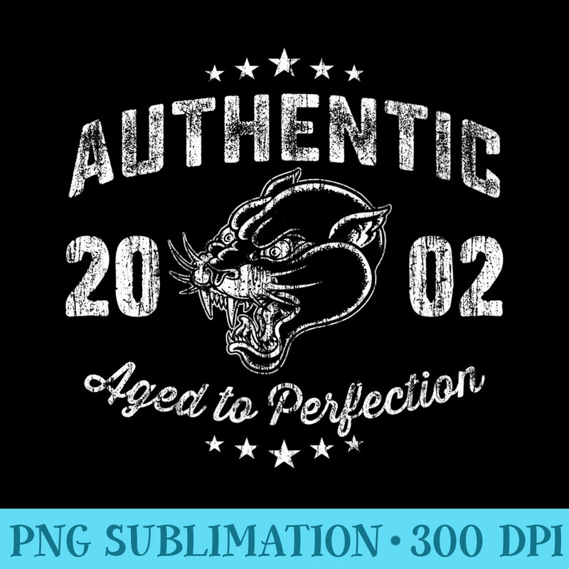 Vintage Made In 2002 T 16th Birthday - High Resolution PNG Designs - Defying the Norms