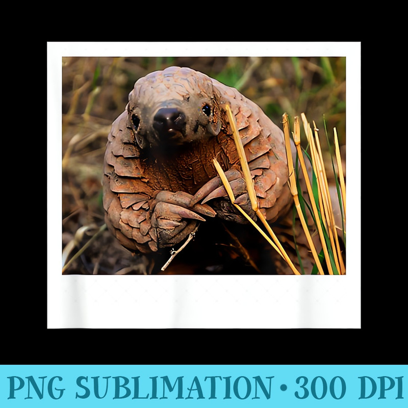Pangolin Photo T Endangered Animal Species - PNG Download Website - Perfect for Sublimation Mastery
