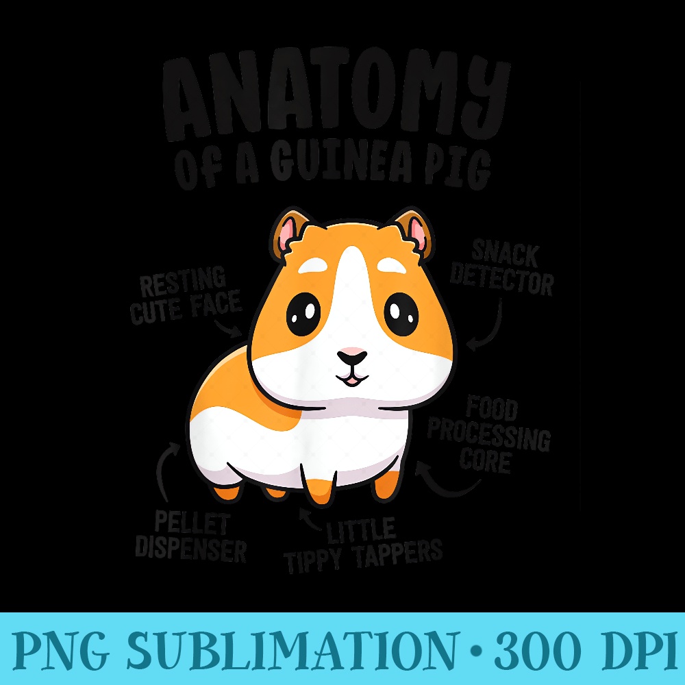 Anatomy Of A Guinea Pig s For Furry Potato - High Resolution PNG Designs - Create with Confidence