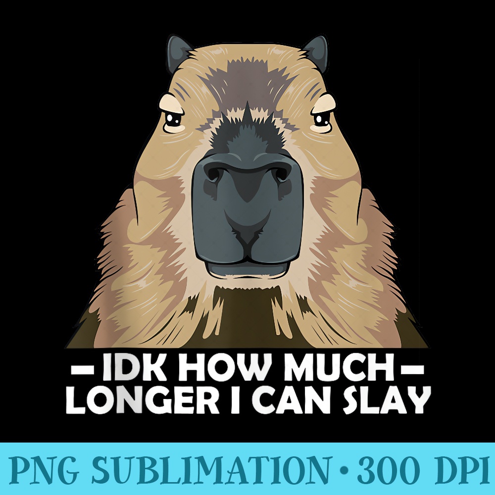 Idk How Much Longer I Can Slay Capybara Sarcastic Meme Humor - PNG Download - Transform Your Sublimation Creations