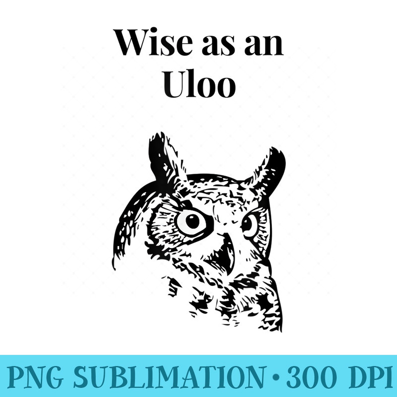 Wise as an Uloo Owl Hindi Bollywood Urdu Funny - PNG Download Database - Trendsetting And Modern Collections