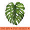 Tropical Monstera Leaf Botanical Graphic Print - PNG Clipart - Lifetime Access To Purchased Files