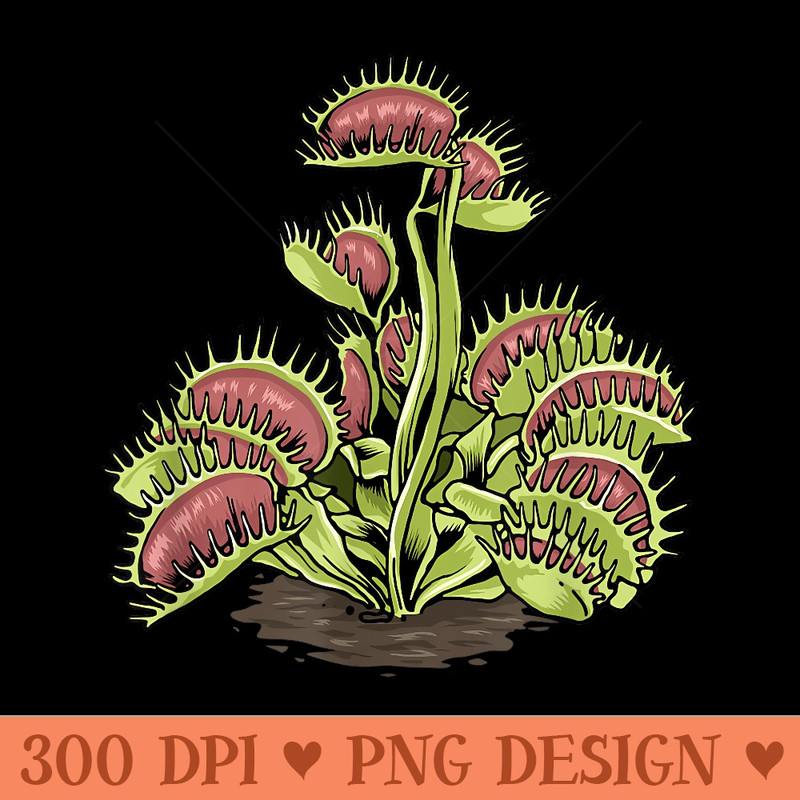 Venus Fly Trap Carnivorous Plant Water Pitcher - PNG design assets - Create with Confidence