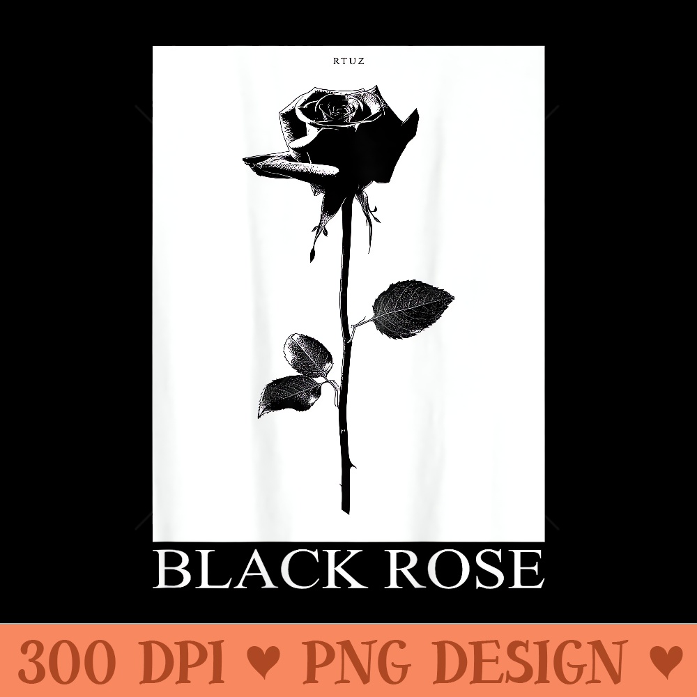 Minimalist Black Rose Flower Tulip Plant Rose - High Resolution PNG image download - High Resolution And Print Ready Designs