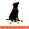 Labrador Retriever Dog with Yellow Lab Tennis Balls - High Resolution PNG image download - Perfect for Sublimation Mastery