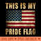 This Is My Pride Flag USA American 4th of July Patriotic - PNG Templates - Unique And Exclusive Designs
