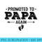 Promoted To Papa Again Grandparents Baby Announcement - PNG Download - Unlock Vibrant Sublimation Designs