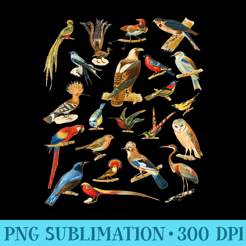 Cottagecore Aesthetic Bird Collection Bird Watching Nerd - Blank Shirt Template PNG - Boost Your Success with this Inspirational PNG Download