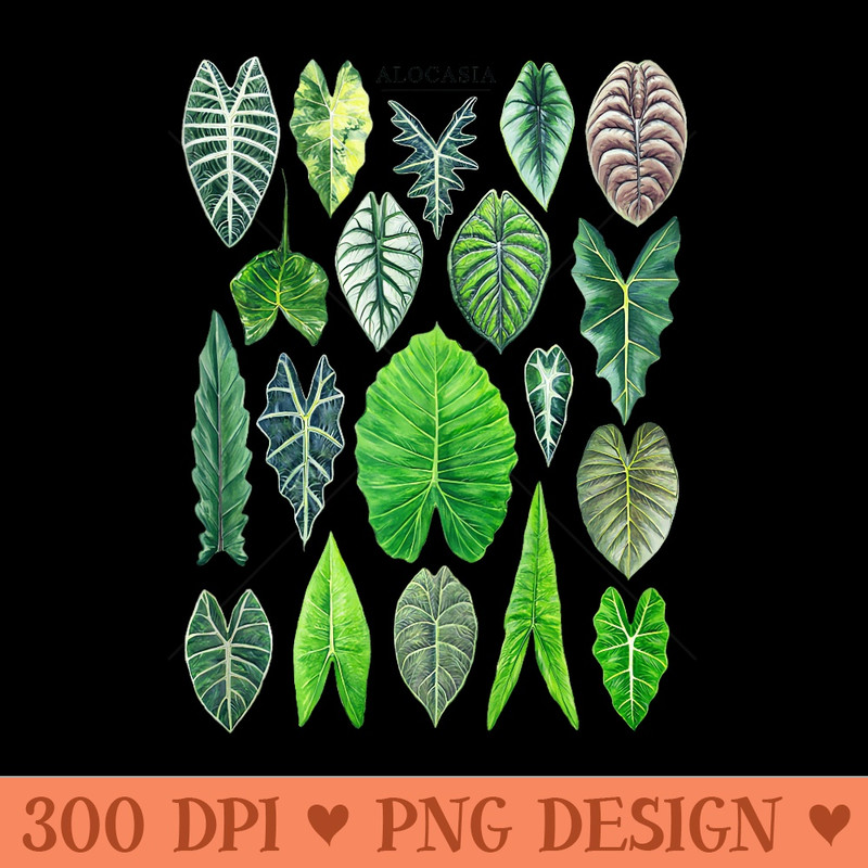 Alocasia Foliage Zebrina Dragon Scale Sarian Plant Lover - Design PNG template - Unique And Exclusive Designs