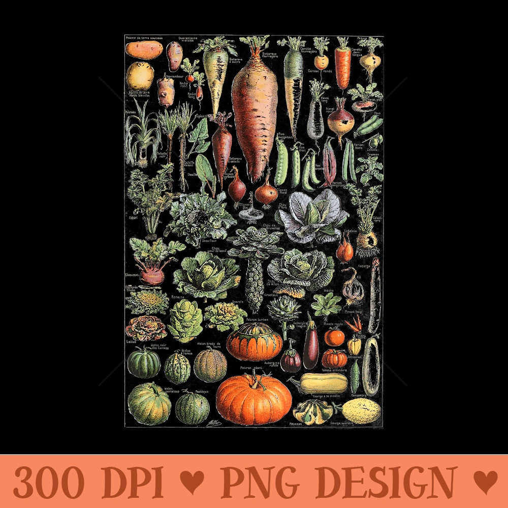 Kitchen Vegetable Identification Reference Chart Botanical - Design PNG template - Bold & Eye Catching