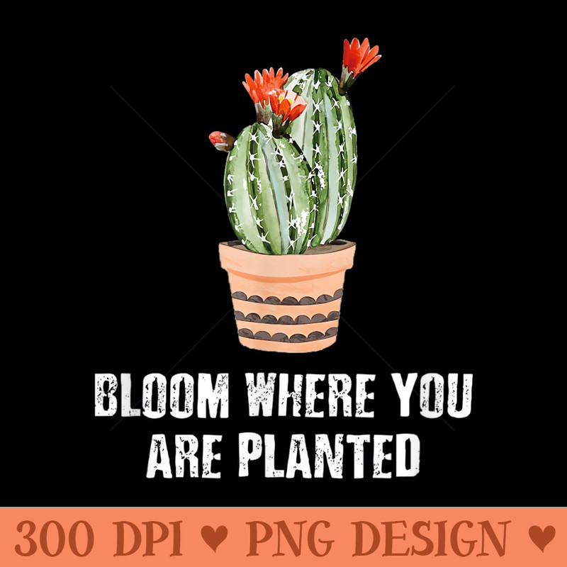 Succulent Cactus Lover Bloom Where you are Planted - PNG design assets - Perfect for Personalization