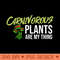 Carnivorous Plant Venus Fly Traps Pitcher Sarracenia - Transparent PNG download - Eco Friendly And Sustainable