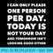 I Can Only Please One Person Per Day Sarcastic Funny - High Resolution Shirt PNG - Capture Imagination with Every Detail