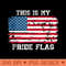 This Is My Pride Flag USA American 4th of July Patriotic - PNG Graphics - Revolutionize Your Designs