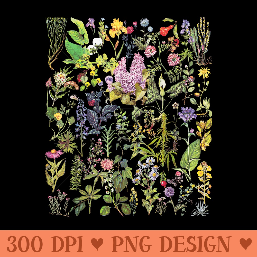 Vintage Inspired Flower Botanical Floral Plant Chart - Unique Sublimation PNG Download - Perfect for Creative Projects