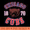 Chicago Cubs - High Resolution PNG image download - Limited Edition And Exclusive Designs