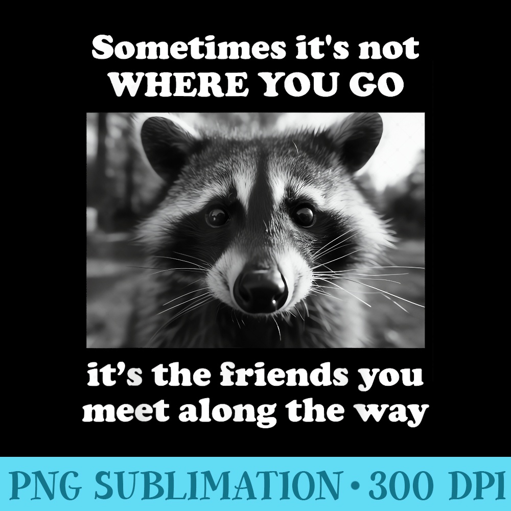 Cute Raccoon Friends Adorable Kawaii Trash Panda - Download Shirt PNG - Unique And Exclusive Designs