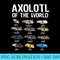 Axolotls Of The World Kawaii Types Of Axolotl Fish Amphibian - PNG Download Collection - Fashionable and Fearless