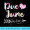 Pregnancy Announcement Due Date June 2020 See you in - Download PNG Files - Quick And Seamless Download Process