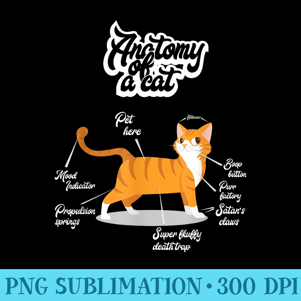 Orange Tabby Cat T  Anatomy of a Cat Cute Present - Download Transparent PNG - Transform Your Sublimation Creations