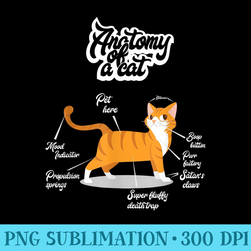 Orange Tabby Cat T  Anatomy of a Cat Cute Present - Download Transparent PNG - Transform Your Sublimation Creations