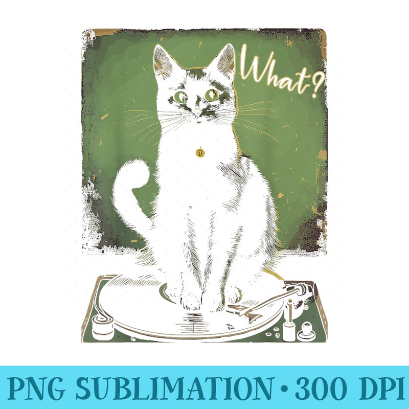 Black Cat Sitting On Vinyl Record Player Women, Men - High Resolution PNG Designs - Quick And Seamless Download Process