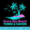 Palm Tree Summer Vacation Turks Caicos Grace Bay Beach - PNG design assets - Bold & Eye-catching