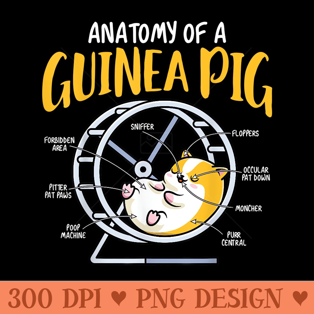 Anatomy Of A Guinea Pig Lover, Funny Rodent Pet Animal - PNG download for graphic design - Bring Your Designs to Life