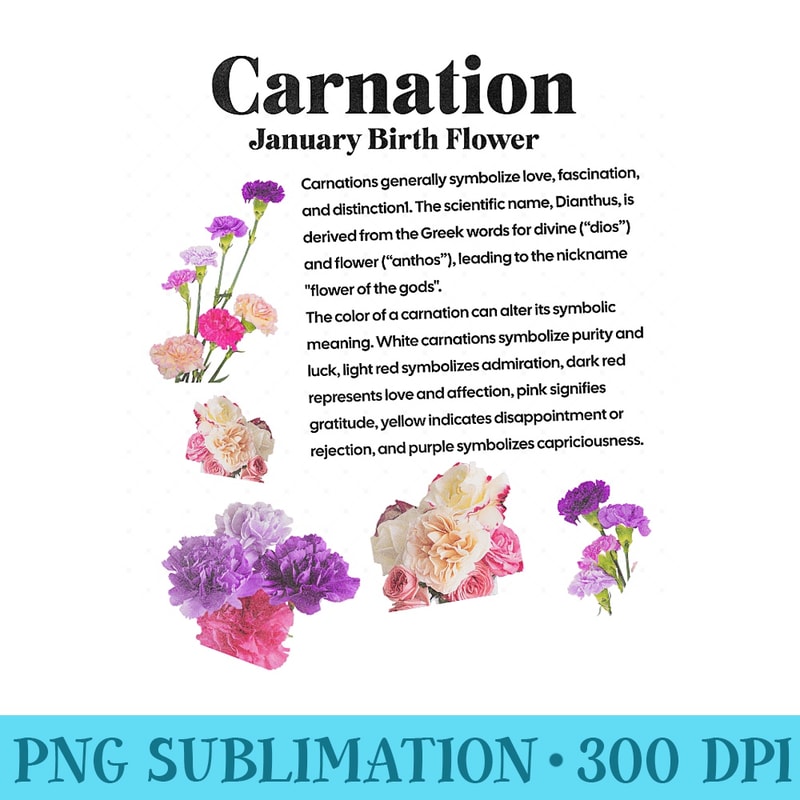 Carnation January Birth Flower Art Celebrate Your Month Premium - Unique PNG Artwork - Trendsetting And Modern Collections