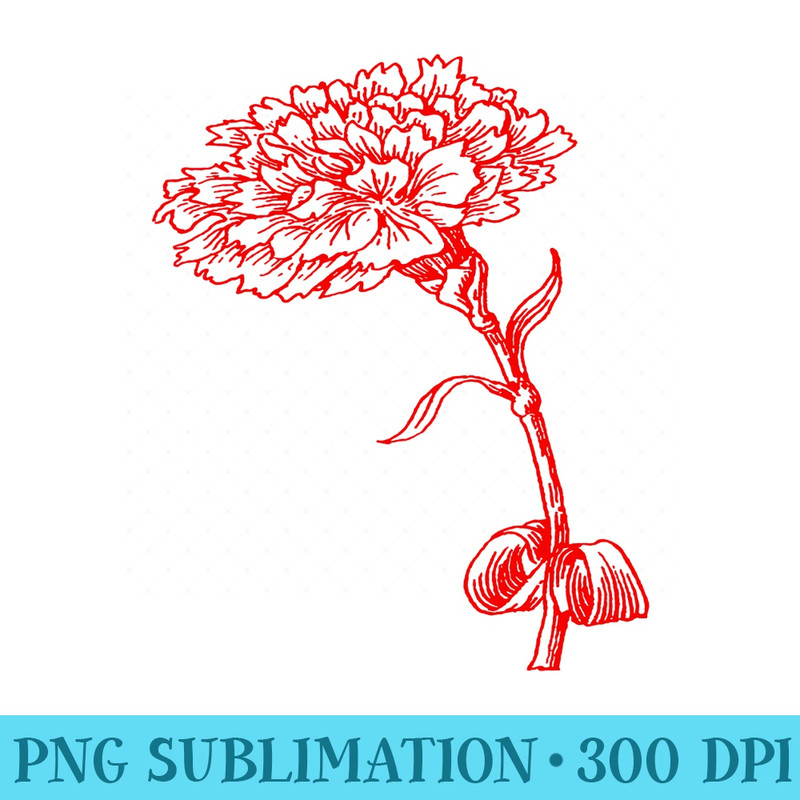 Vintage Carnation Botanical Line Art Illustration Red Ink - Modern PNG designs - Easy-To-Print And User-Friendly Designs