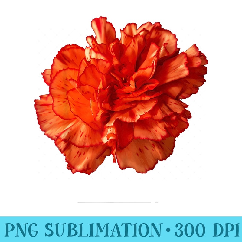 Stunningly Beautiful Red Carnation Vector Cut Out - PNG design assets - Transform Your Sublimation Creations