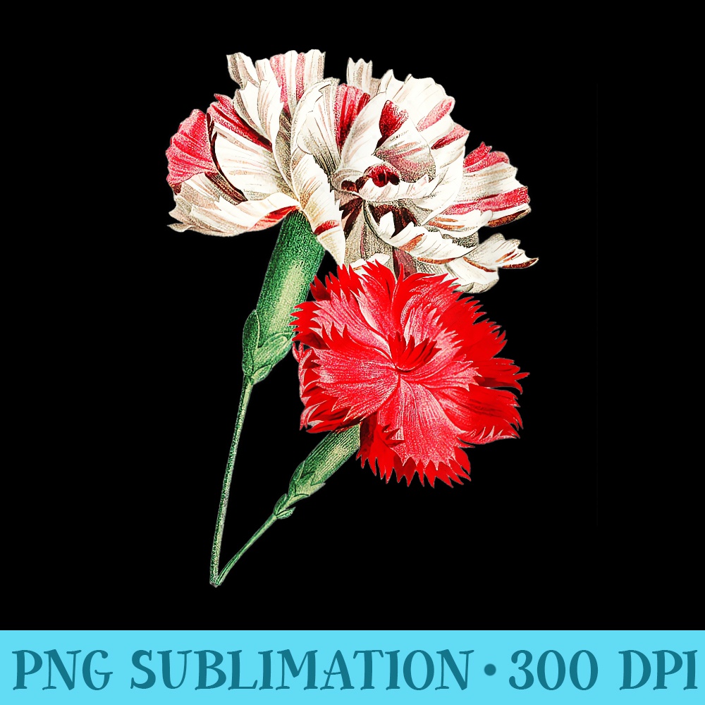 Vintage Beautiful Carnation Floral Flower Women Girls - High Resolution PNG Designs - Instantly Transform Your Sublimation Projects