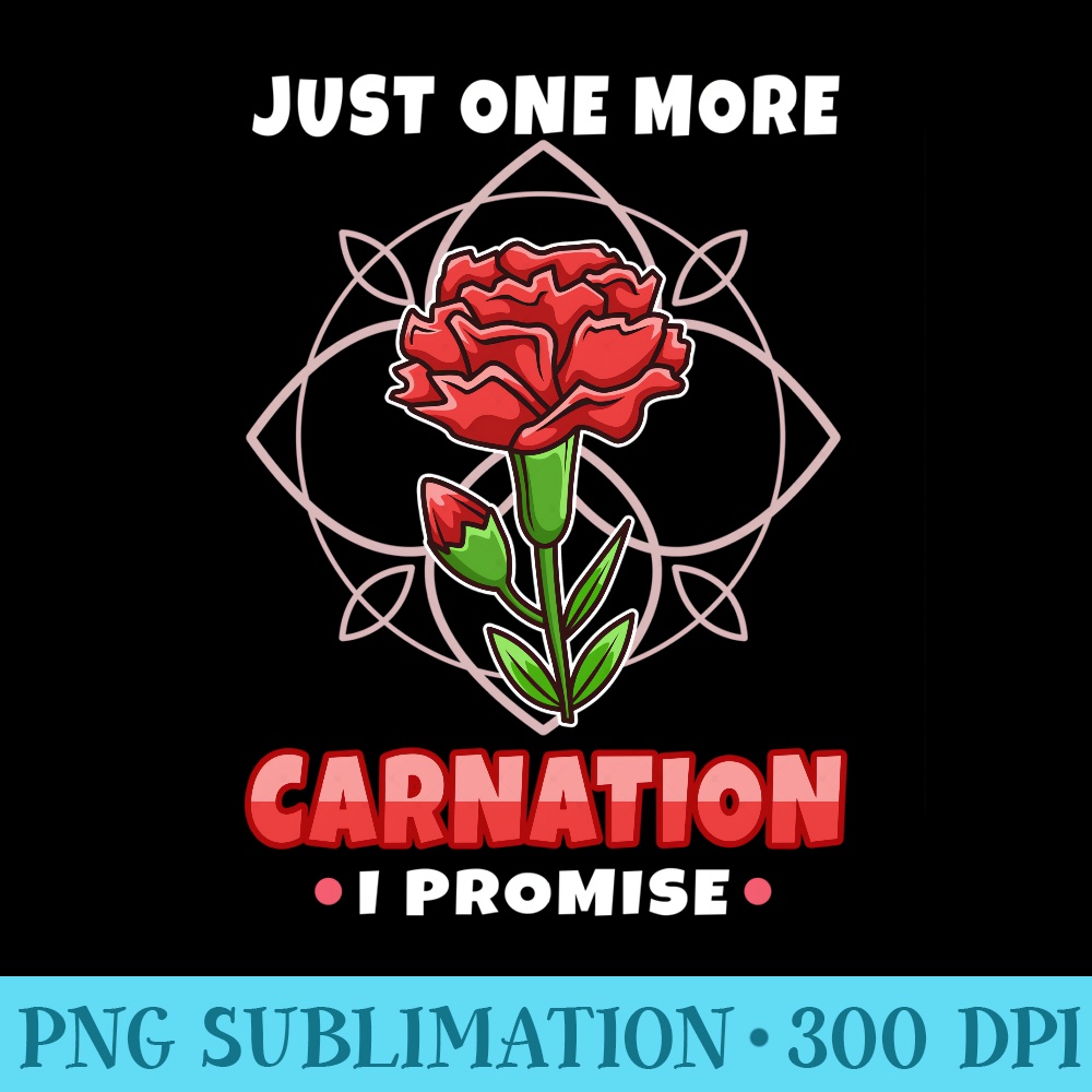 Carnation - High Quality PNG Files - Premium Quality PNG Artwork
